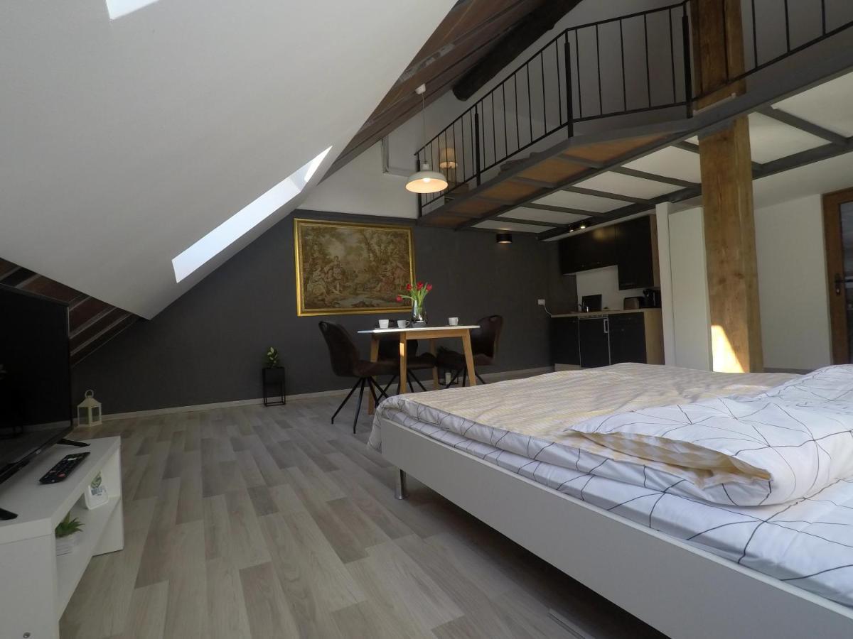 Savoya Nr2 Loft Studio Old City Center Self Check-In Workspace Timişoara Eksteriør bilde
