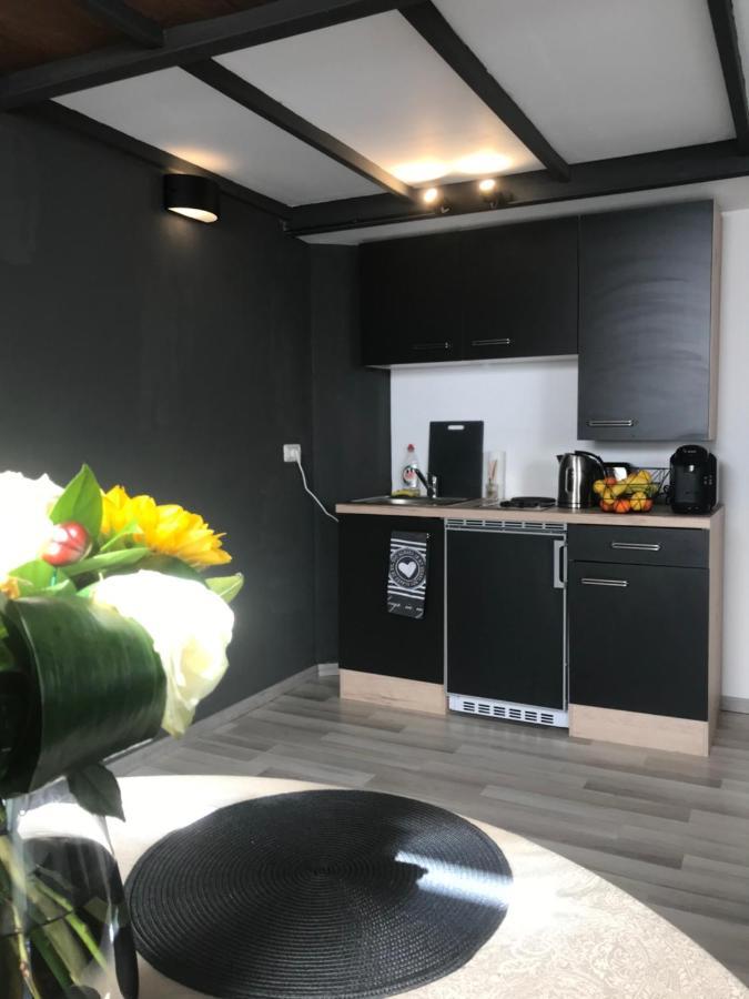 Savoya Nr2 Loft Studio Old City Center Self Check-In Workspace Timişoara Eksteriør bilde